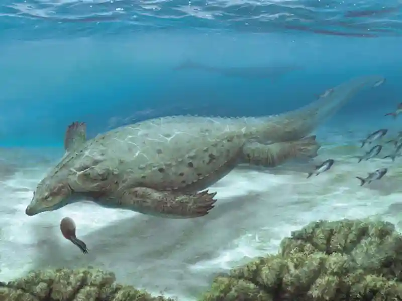 Древний морской ящер Prosaurosphargis yingzishanensis