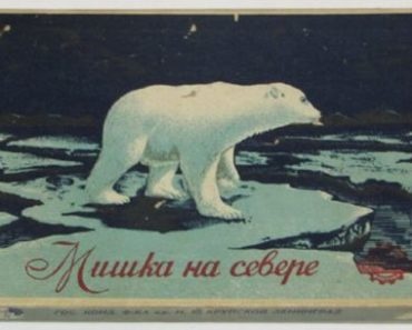 Как кондитерская фабрика изготовила 3 тонны конфет "Мишка на Севере" в блокадном Ленинграде