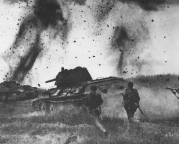 Кого обвинял Гитлер в своём поражении в Курской битве