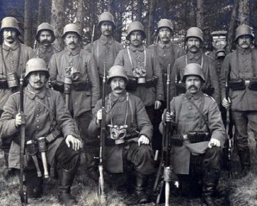 Как стадо белорусских зубров уничтожило роту немецких солдат