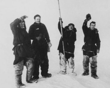 Какие открытия сделали папанинцы на Северном полюсе