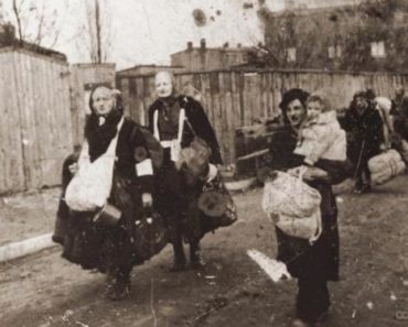 Операция «Чечевица»: за что в 1944 году депортировали чеченцев