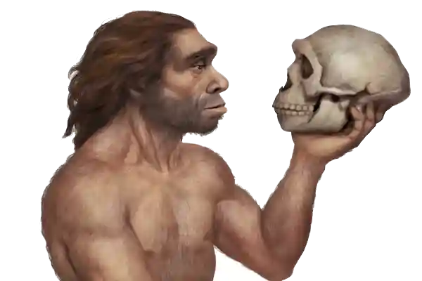 Кто такой неандерталец и его роль в истории земли