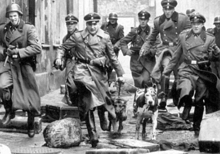 Почему Нюрнбергский трибунал не объявил гестапо и СС преступными организациями